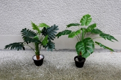 064 veštačke biljke